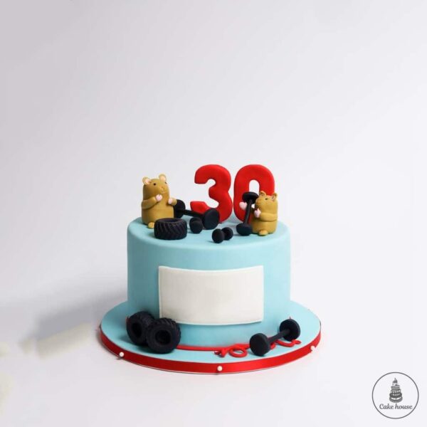 Торт для мужчины №3285