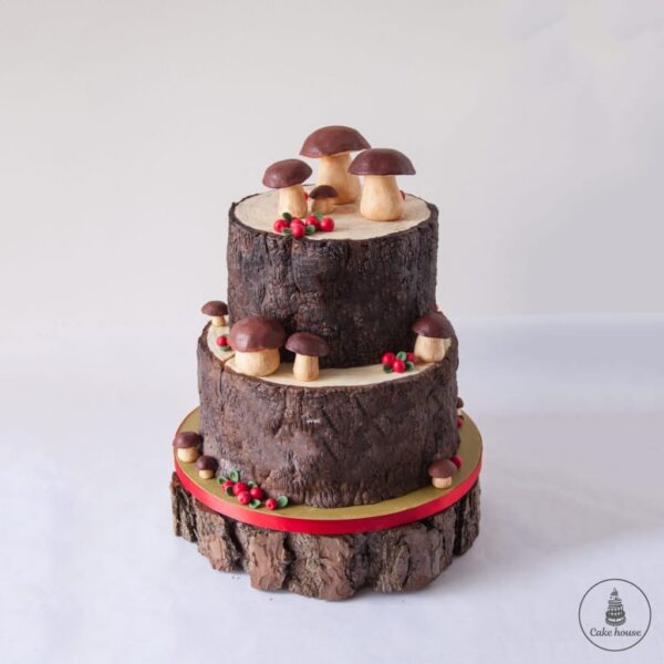 Торт для мужчины №1570